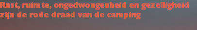Rust, ruimte, ongedwongenheid en gezelligheid 
zijn de rode draad van de camping
